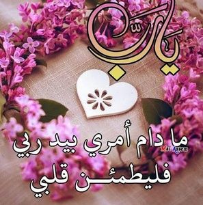 Meet your Posher, Nina